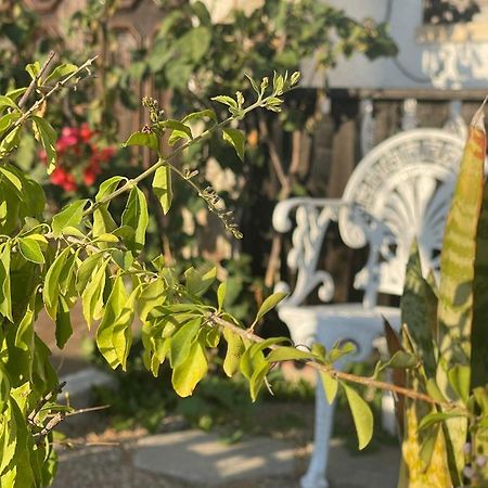 Nina'S Stay Hostel Charneca  Ngoại thất bức ảnh
